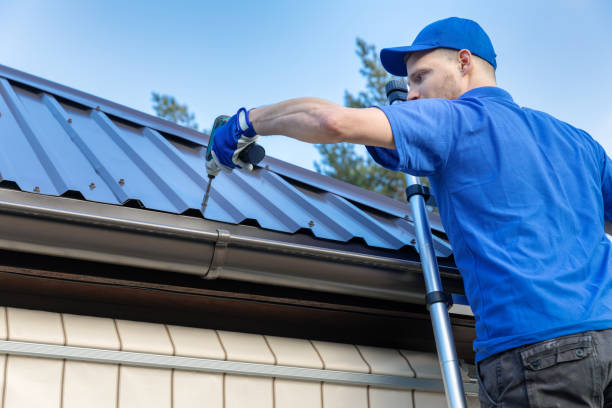 Best Skylight Installation and Repair  in Chula Vista, CA